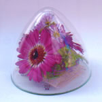 原色ドライフラワー